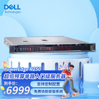 戴尔（DELL）机架式服务器主机 R250 至强E-2314四核2.8G/8G内存/1TB硬盘