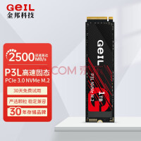GeIL金邦 P3L固态硬盘台式机SSD笔记本电脑M.2(NVMe协议)高速m2 P3L 1TB