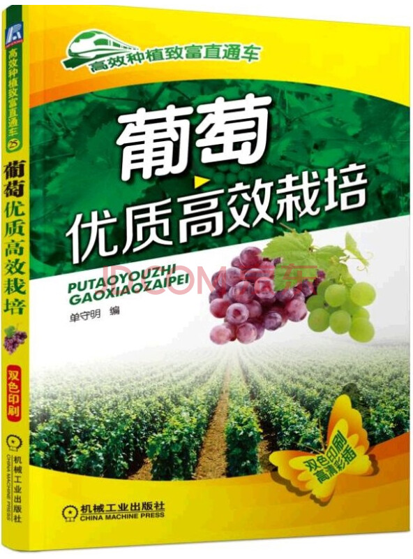 葡萄优质高效栽培