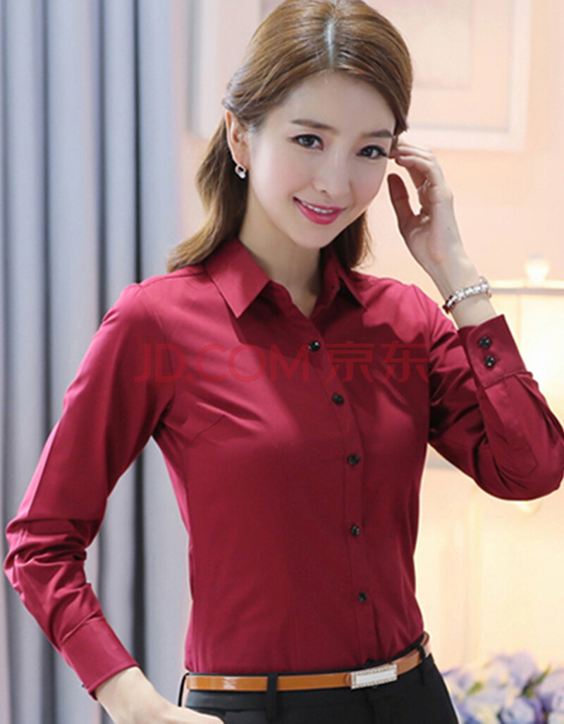 dgpz衬衫女2021秋冬韩版免烫抗皱棉质女装商务休闲正装通勤工作服显瘦