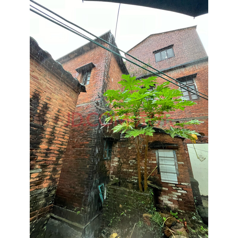 【江边村自建房】东莞市企石镇江边村隔塘(江边甲塘三巷3号)土地使用权及地上建筑物