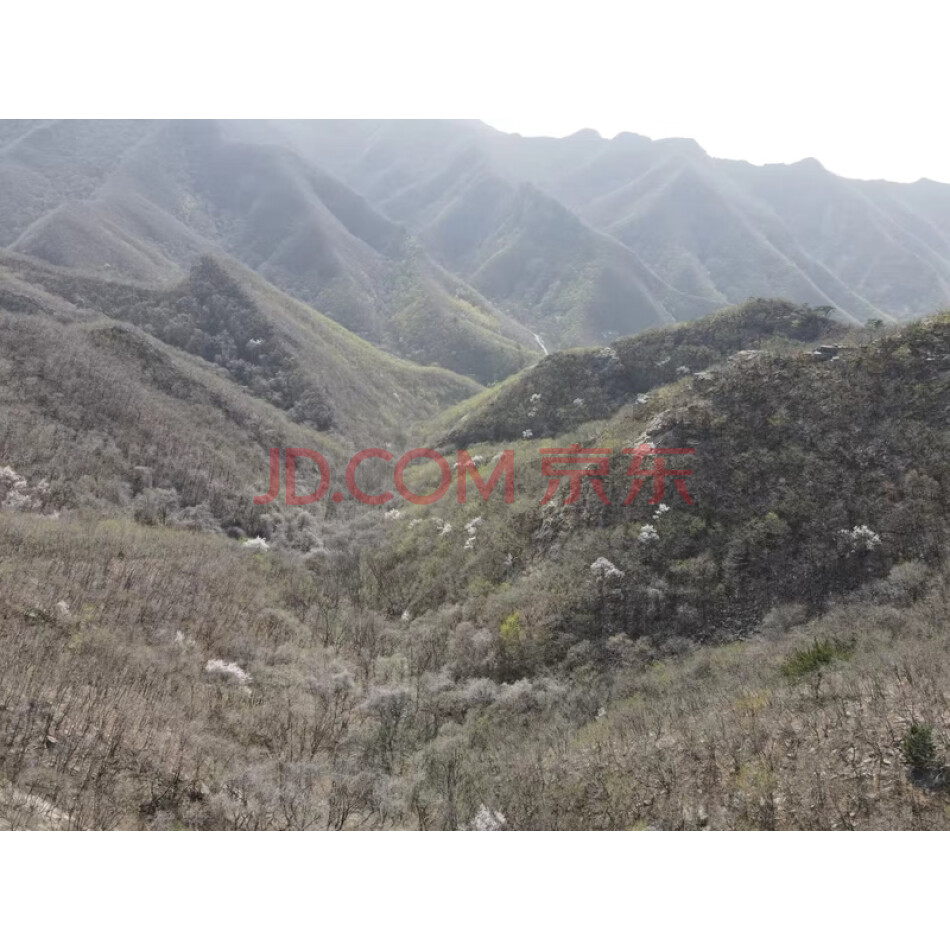 盖州市九寨镇靠山寨村1林班16小班林权