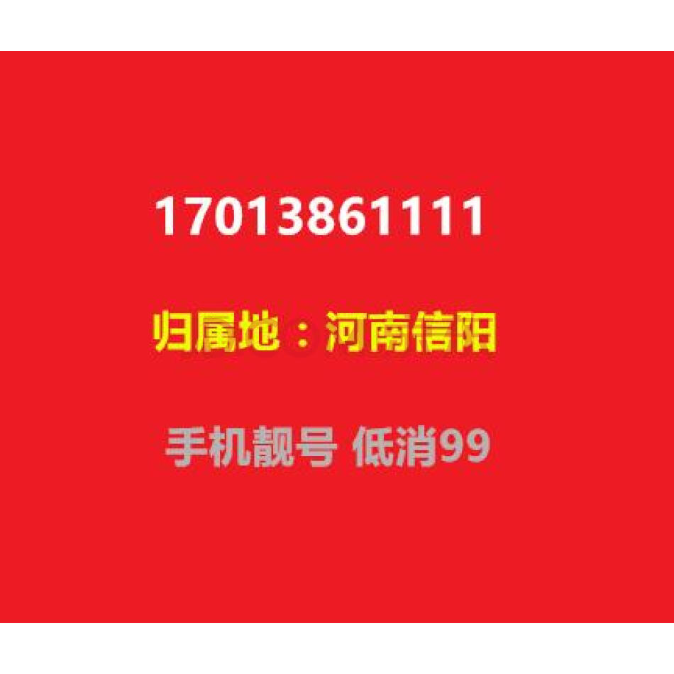 手机靓号  17013861111 河南信阳 手机号码 低消99（虚商）