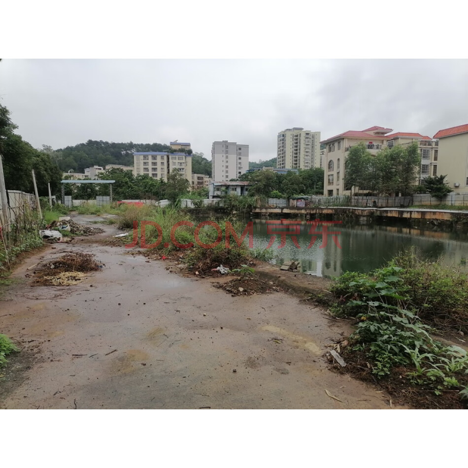 云浮市区天鹅区府前路南侧的一宗土地使用权
