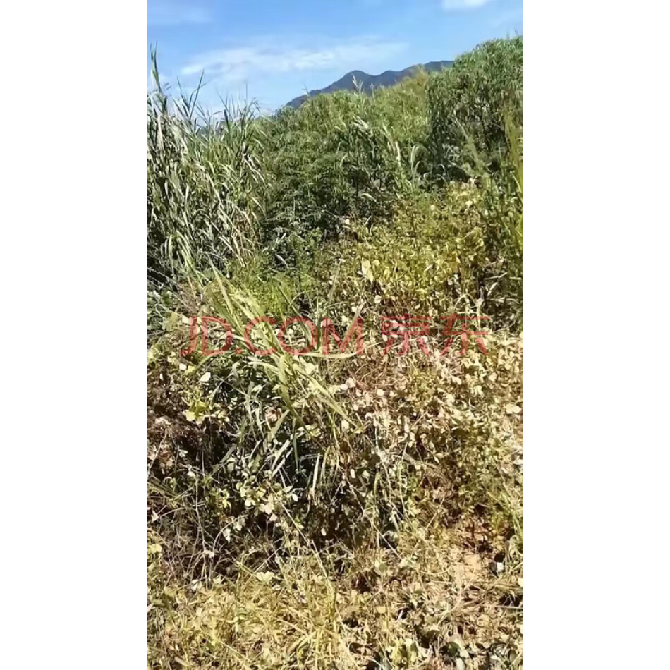 仙游县盖尾镇石马村S2-1宗地和S2-2宗地土地