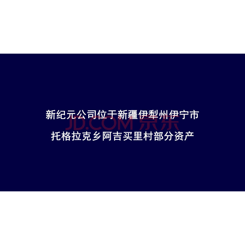 【第1次拍卖】（破）新纪元公司位于新疆伊犁州伊宁市托格拉克乡阿吉买里村部分资产