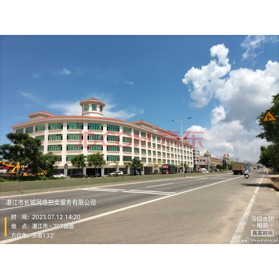 雷州市207国道邦塘地段[家私城A、B、C幢]及加建部分住宅房地产