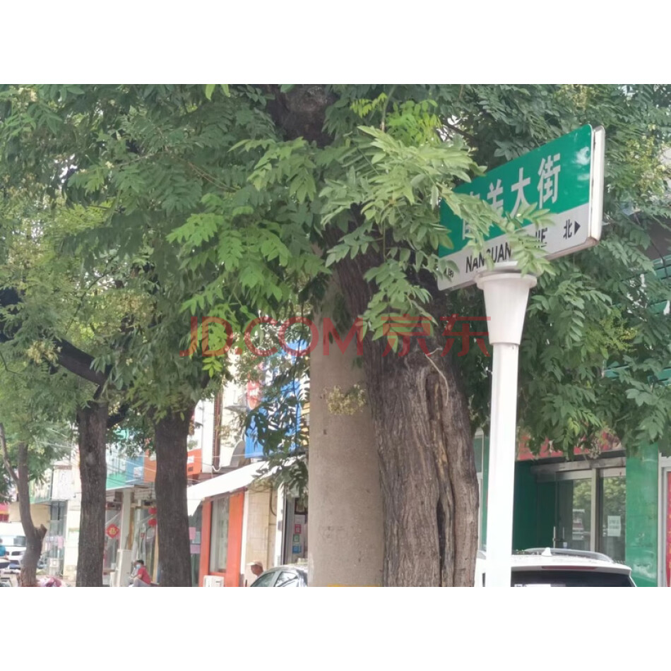 山东省泰安市南关小区路西5号楼1单元101室房屋