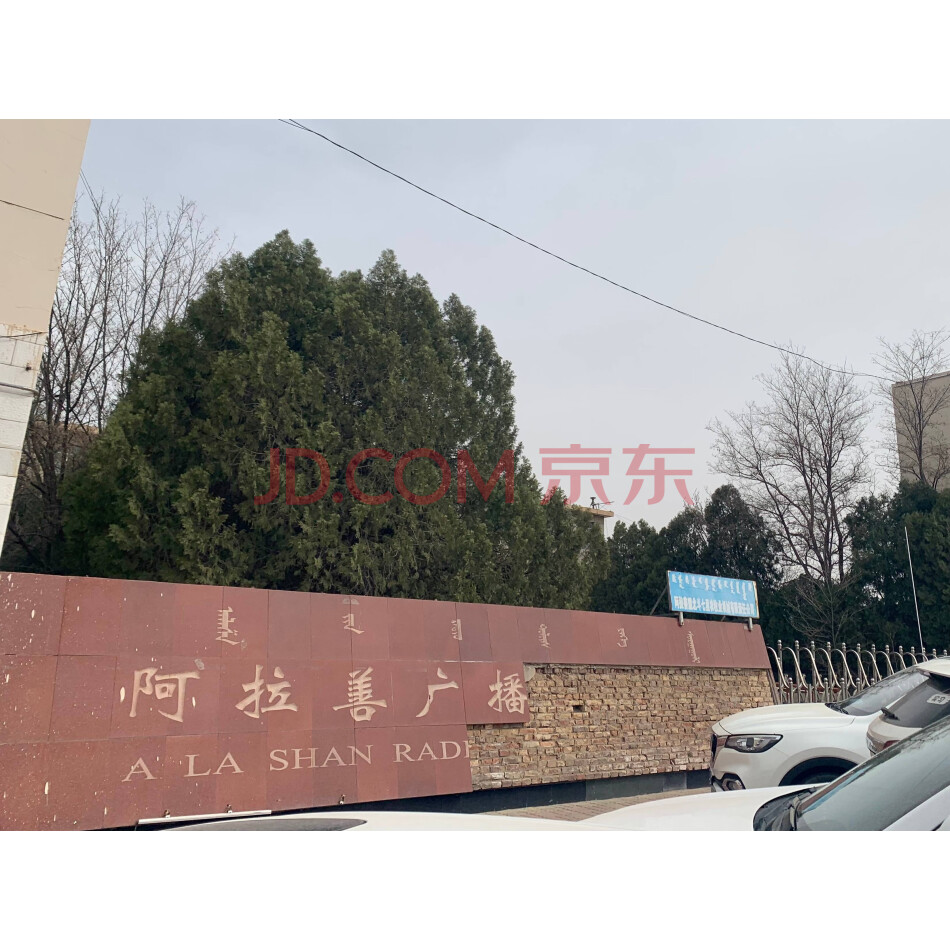 内蒙古阿拉善职业技术学院（原电大校区）资产及土地（二拍，已降价5%）