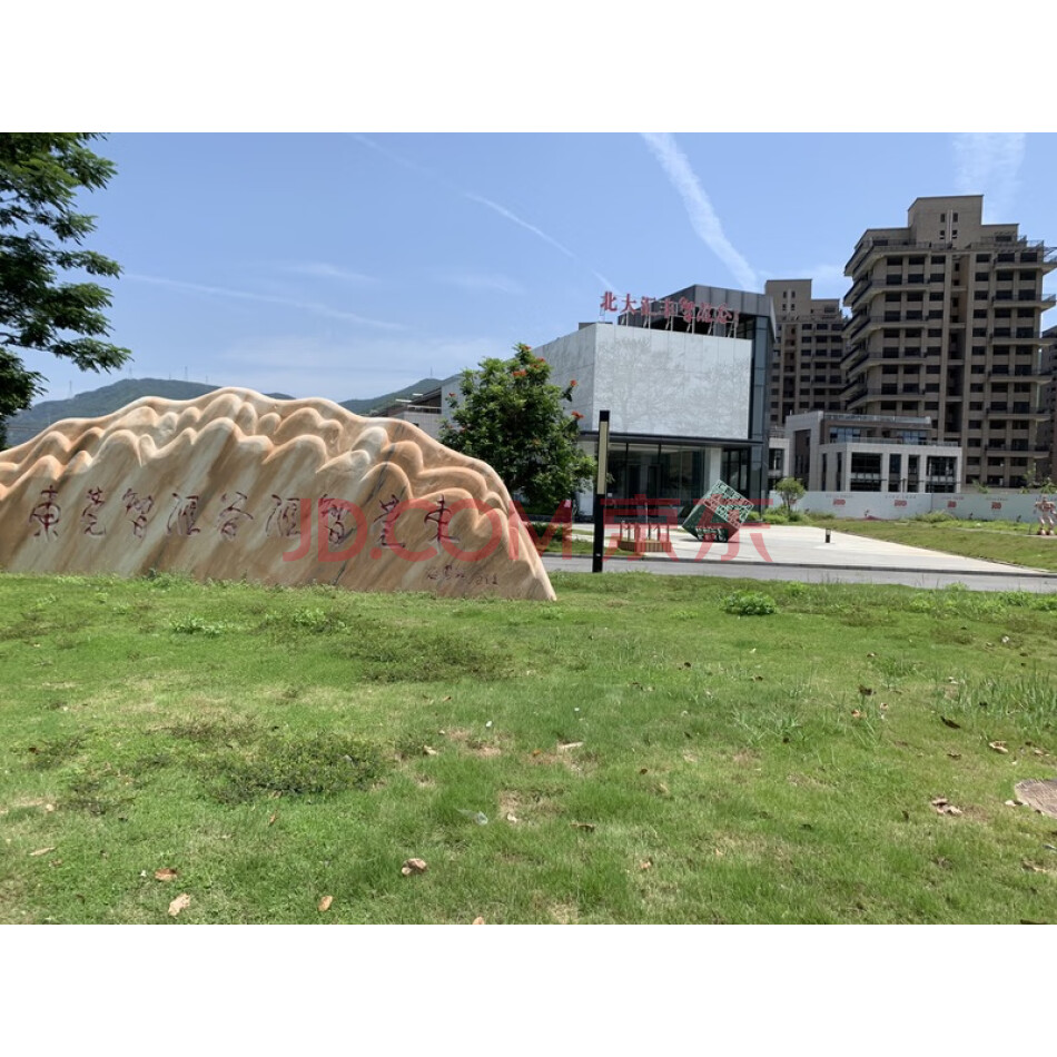 东莞市清溪镇罗马村国有建设用地使用权及该宗地上的在建工程