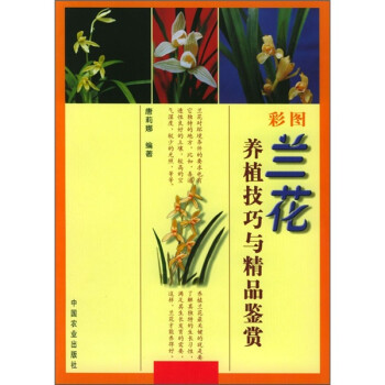 彩图兰花养植技巧与精品鉴赏
