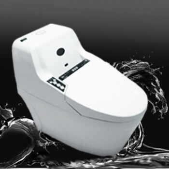 洗立洁磁化水洁身器 808