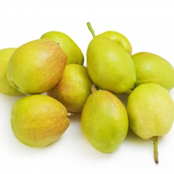 新鲜水果 新疆库尔勒香梨/西域香妃梨 4斤装