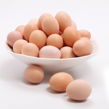 嘉仕有机 有机蔬菜 有机鸡蛋 林地散养土鸡蛋 39枚包装 限上海地区