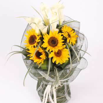 花之苑 鲜花速递 7朵马蹄莲5朵向日葵混搭花束 鲜花快递生日 全国送花