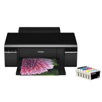 
                                        爱普生（EPSON） Stylus Photo R330 高品质商务照片打印机                