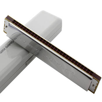 swan 天鹅 正品28孔宽音域复音口琴 银色 塑盒装 银色