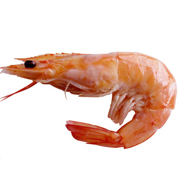 新年抢先购 深海野生阿根廷红虾 4斤/盒 【 10只/斤】