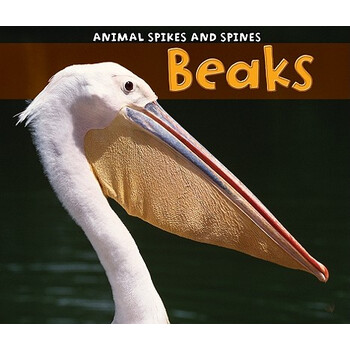 > 【预订】beaks