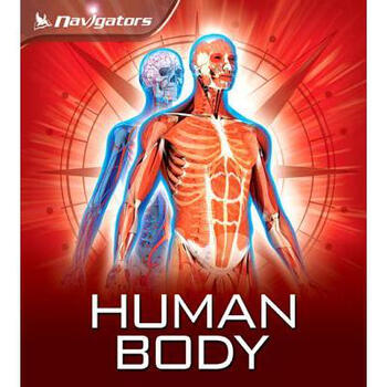 human body