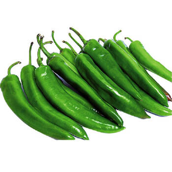 > 悠然社自产蔬菜尖椒500g