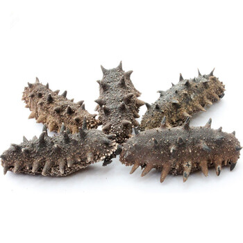 海参 金宝来淡干海参50g 简装 8-12头 山东特产