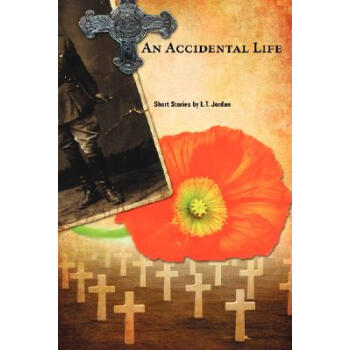 【】An Accidental Life kindle格式下载