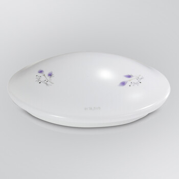 德国乾球（QAQ） LED吸顶灯 卧室灯客厅灯 阳台走廊厨卫灯饰 玄关灯具 现代简约 荷塘 230*230 正白光_12瓦
