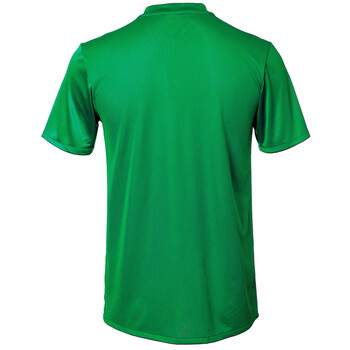 男士足球服 套装/球衣/队服/训练服 两色可选 413148-301绿色上衣 l