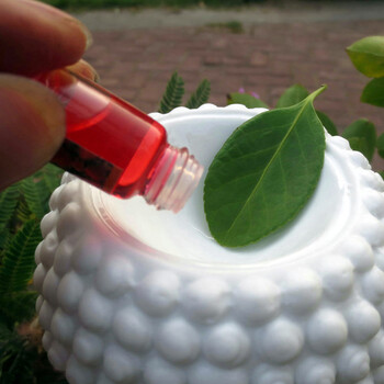 
                                        芳夕 佛头香薰炉 陶瓷香薰灯 蜡烛香熏炉精油灯  佛头炉白色(磨砂面)透光                