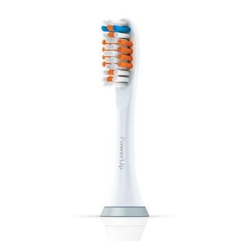 飞利浦（PHILIPS） HX3631/02 电池式SoniCare 声波震动牙刷