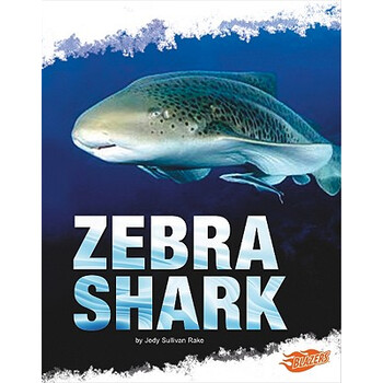 预订zebrashark