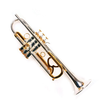 帕特里克 patrick tr-a205 降b调双色小号