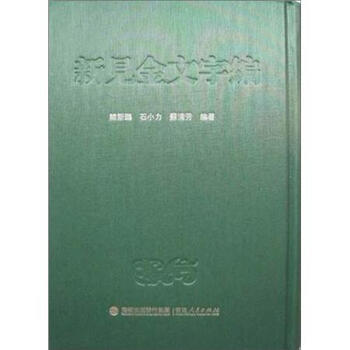 新金文编- 京东