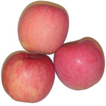 果湘园 甘肃冰糖心 8个/箱