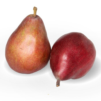 【华海行】红啤梨400g*2盒