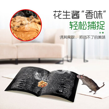 绿叶 爱国者粘鼠板共40片 加量胶水强劲粘力 花生香味引诱