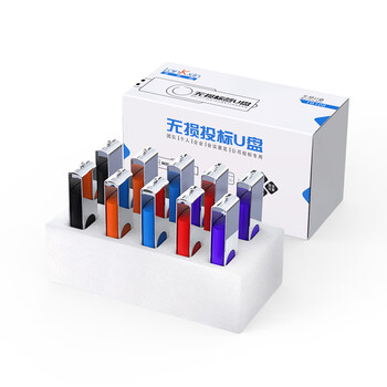 兰科芯（LanKxin）256MB USB2.0 U盘 TB108专业投标U盘 公司企业 招标小容量标签无损电脑优盘10个/盒