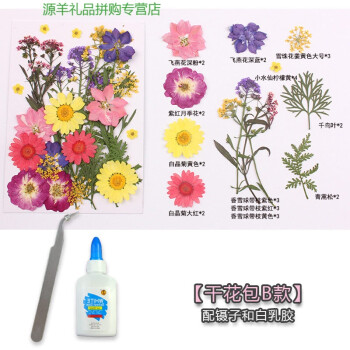 干花书签diy材料包自制植物真花标本压花书签创意小清新学生用jx 干花包b款 配镊子白乳胶 图片价格品牌报价 京东