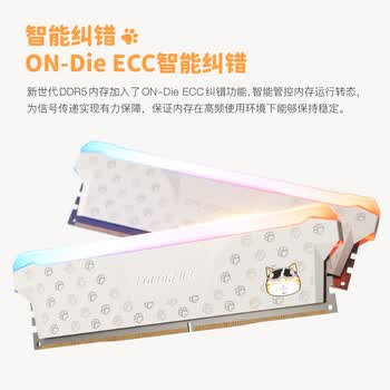 COLORFIRE 32GB(16Gx2)DDR5 6000 台式机内存条 MEOW系列 RGB灯条