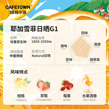 咖啡小镇埃塞俄比亚耶加雪菲手冲咖啡豆 日晒G1精品冷萃美式中度烘焙 227g 咖啡小镇埃塞俄比亚耶加雪菲手冲咖啡豆 日晒G1精品冷萃美式中度烘焙 227g