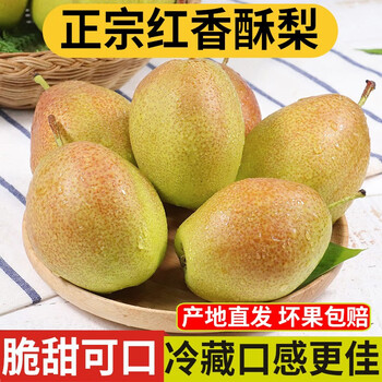 良知农哥陕西红香酥梨新鲜梨子薄皮多汁水果3斤