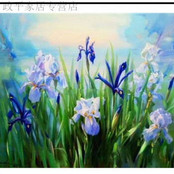 『花』油彩画 鸢尾花数字油画diy油彩画填色花卉治愈系风景横板手工diy油画填充