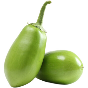 源枝园味茄子茄果瓜类图片- 京东