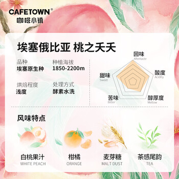 咖啡小镇埃塞俄比亚桃之夭夭 手冲咖啡豆白桃乌龙风味浅度烘焙 100g
