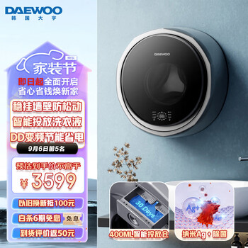 大宇（DAEWOO）3公斤壁挂洗衣机滚筒洗衣机全自动内衣洗 dd直驱变频 智能投放 DY-BGX06pro 极光银