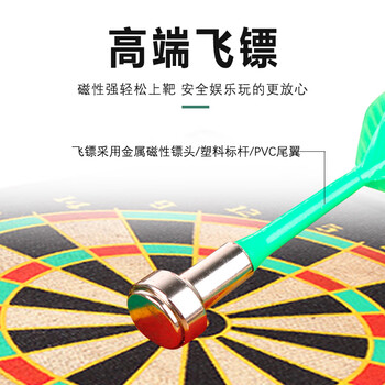 英辉（INVUI）飞镖盘套装儿童磁铁飞镖双面大号公司娱乐团建玩具安全17寸