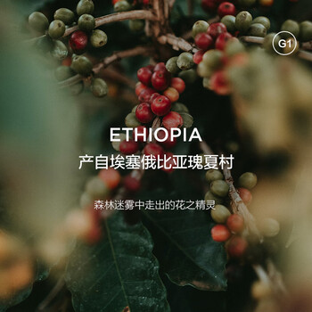 CAFFE MARYLING埃塞俄比亚进口瑰夏精品咖啡豆手冲单品新鲜浅中烘焙罐装150g