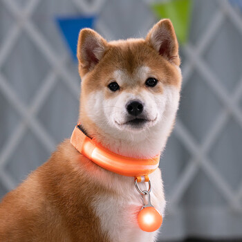 小狗项圈发光 宠物夜间发光狗狗项圈闪光脖圈柴犬柯基金毛小中大型犬