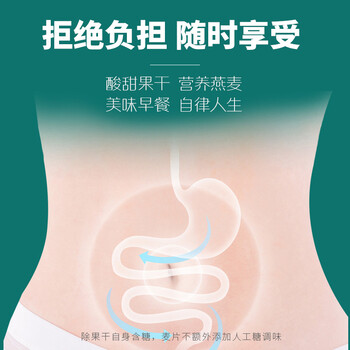 蜜思诺 水果坚果燕麦片营养早餐代餐麦片即食冲饮晚餐食品零食两罐1000g